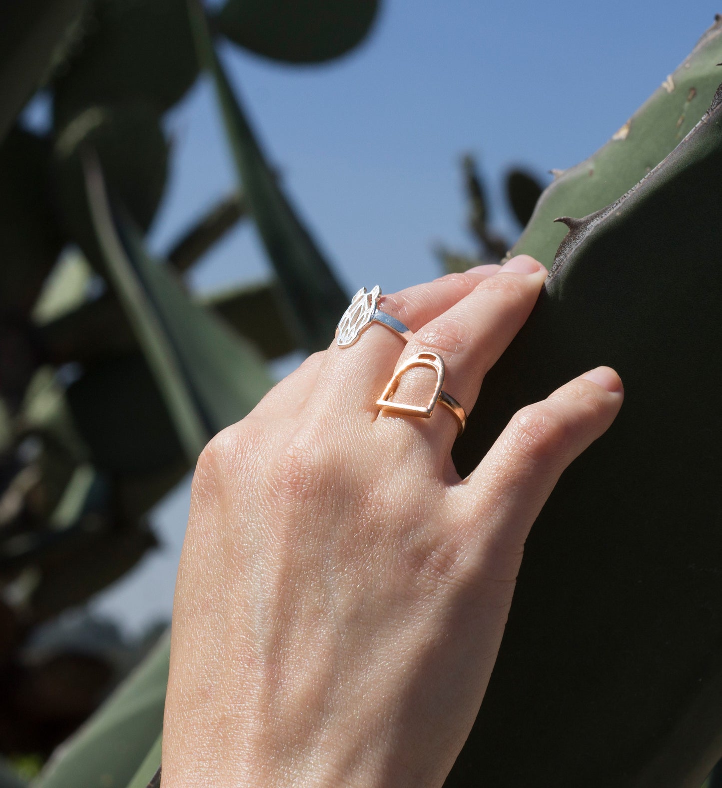 Anillo Cabeza de Caballo