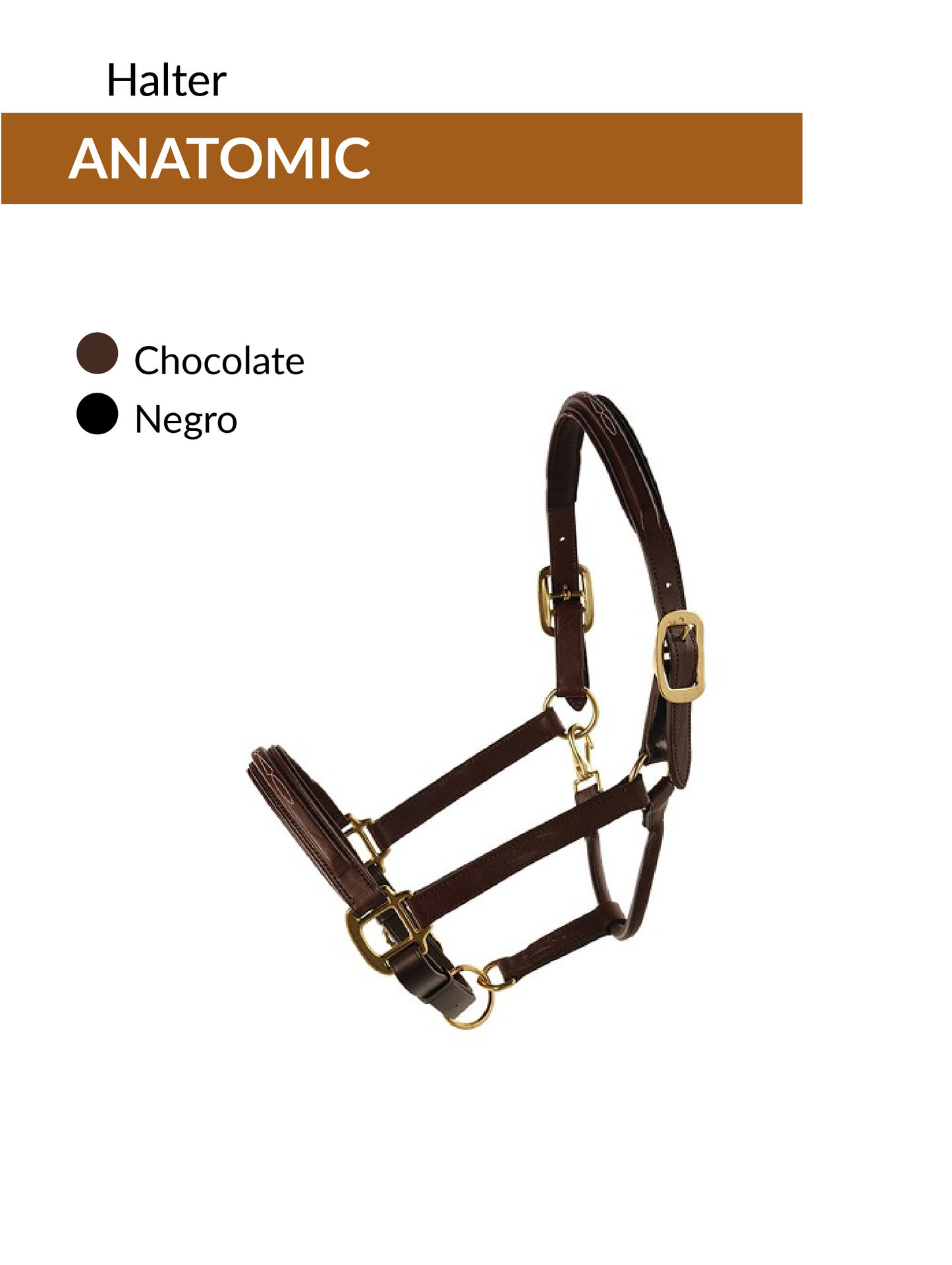 Bozal Halter Anatomic