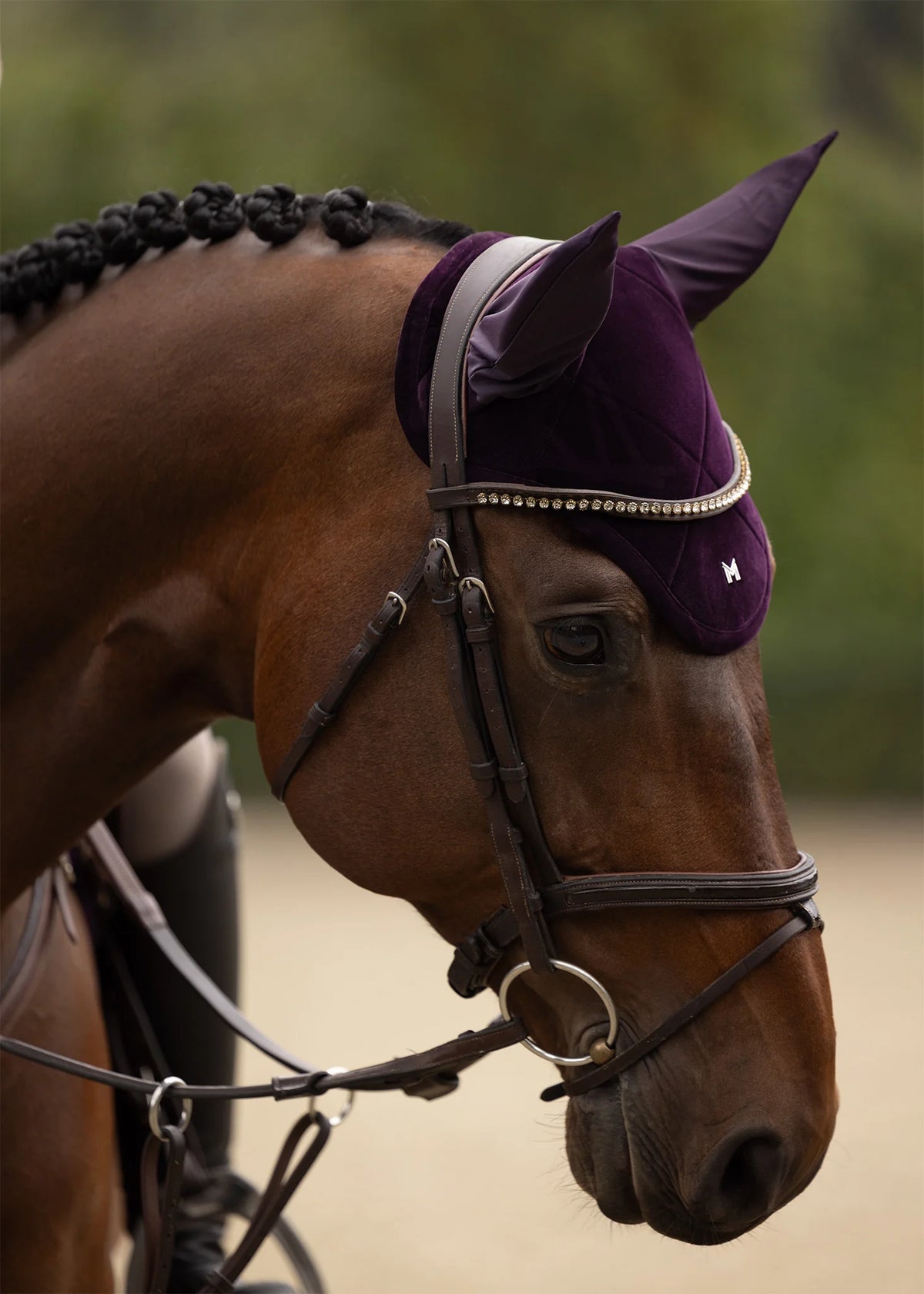 Velvet Ear Bonnet