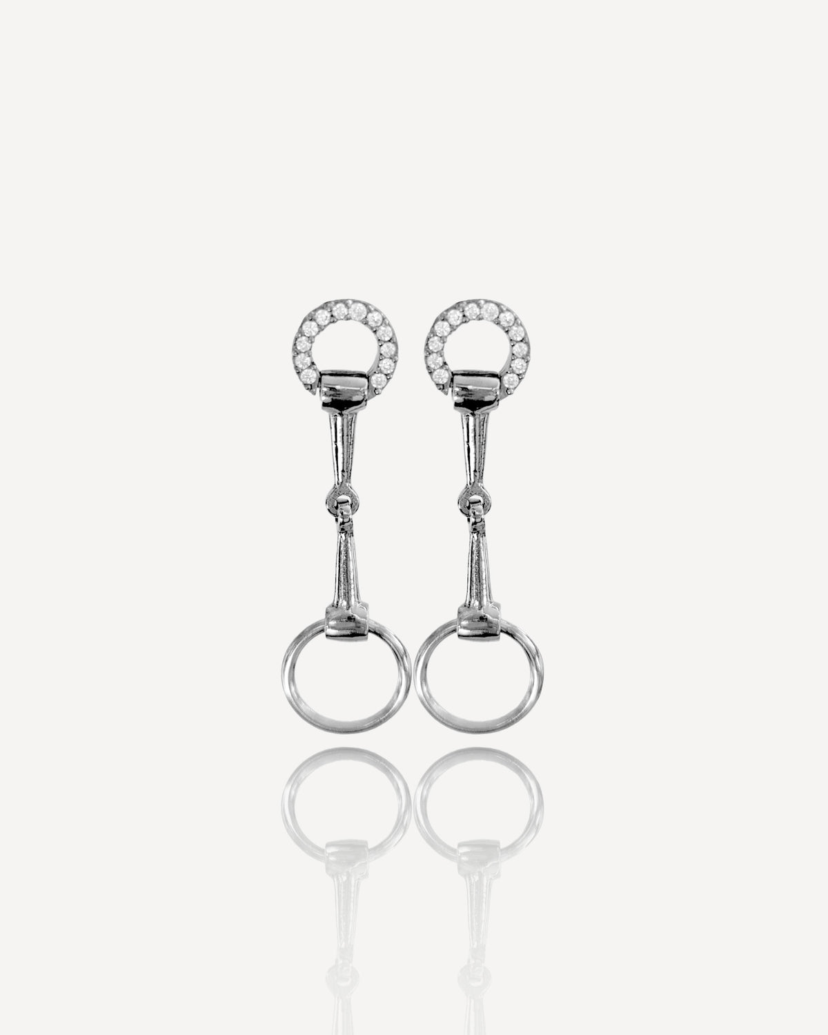 Long Mixed Zirconia Earrings Bite